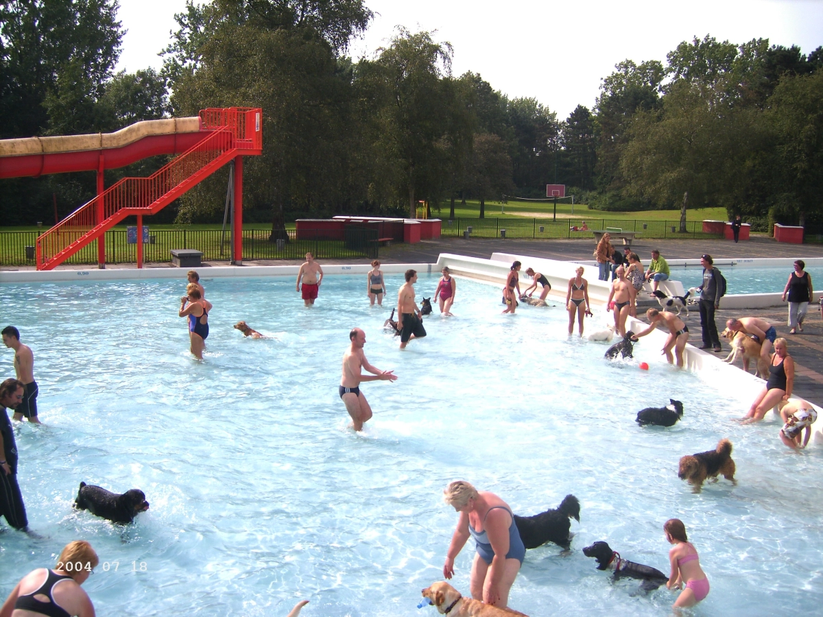 Dog Swim Papiermolen